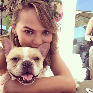 Chrissy Teigen mourns death of her dog Pippa.