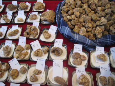 Alba white truffle fair, Italy