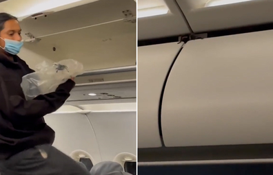 Tarantula discovered in plane cabin