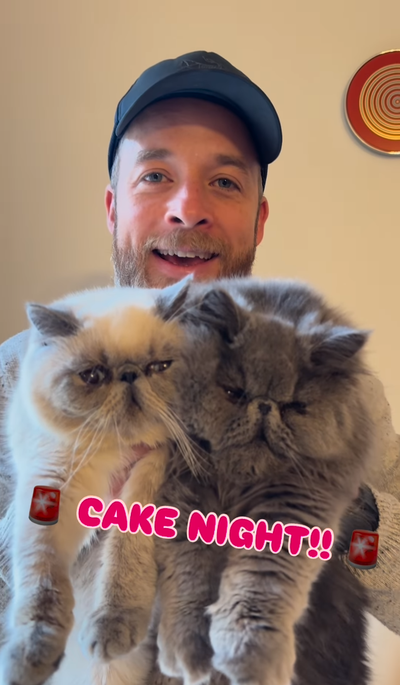 Hamish announces Rudy's 2024 cat cake 