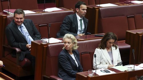 Nationals Senators Ross Cadell, Bridget McKenzie and Susan McDonald, pictured with colleague Matt Canavan, voted against the hate laws bill.