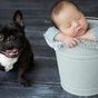 New parents requesting pets be included in baby photo shoots