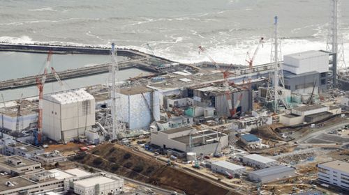 Fukushima's radiation reaches 'unimaginable' levels