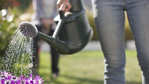 Level two water restrictions come into play in New South Wales tomorrow, December 10.