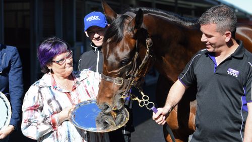 "The run she had for her to win by half a length is phenomenal," Ms Kepitis said of Winx's Cox Plate victory. (AAP)