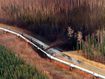 The leak coated nearby forest in crude oil.