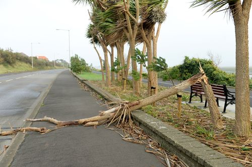 A fallen tree branch on James Larkin Road, Dublin, Ireland. (AAP)