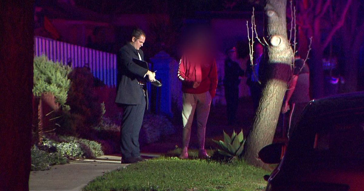 Two men charged after alleged axe attack in Adelaide – 9News