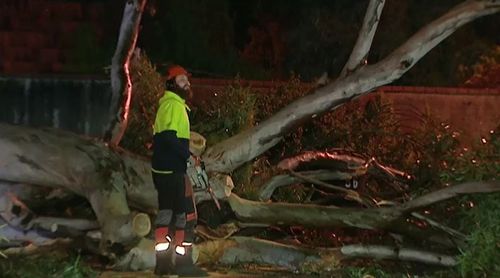 No reports of injuries came from the wild weather, but emergency services were kept busy during the winds. Picture: 9NEWS.