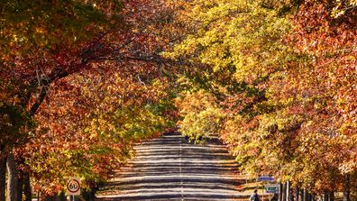 places to visit in victoria in autumn