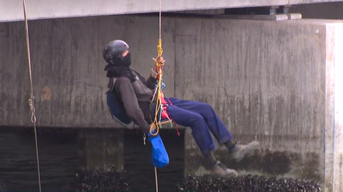 A protestor has suspended himself from a pole on Foreshore Road, Banksmeadow.