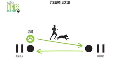 <strong>Station Seven: Shuffle/Sprint combo (4 minutes)</strong>