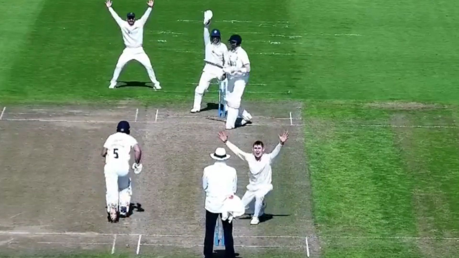 Marnus Labuschagne appeals for LBW while playing in the County Championship second division for Glamorgan.