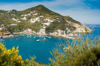 A panoramic shot of the Italian island of Ponza, with small boats in the turquoise waters of the harbor and yellow Spanish broom in the foreground.