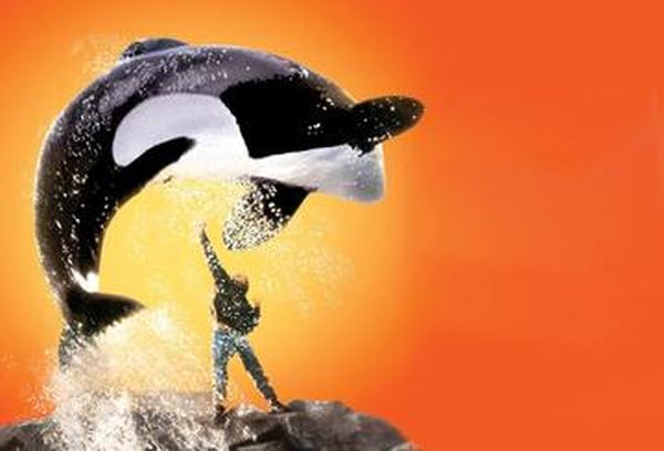 Free Willy