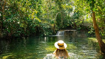 Ranku water hole, Tiwi Islands