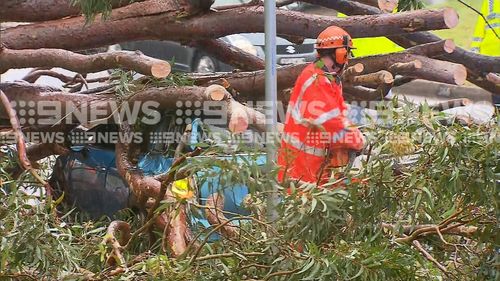 SES services clear the wreckage of the tree which injured two officers.