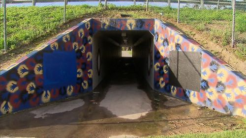 The tunnel under the Logan Motorway where the young girl was attacked.