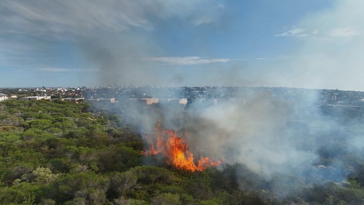 Northern Beaches fire - Figure 1