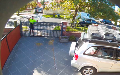 Video of postman throwing delivery divides internet