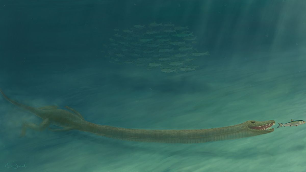 Scientists unravel the mystery of a real-life sea monster