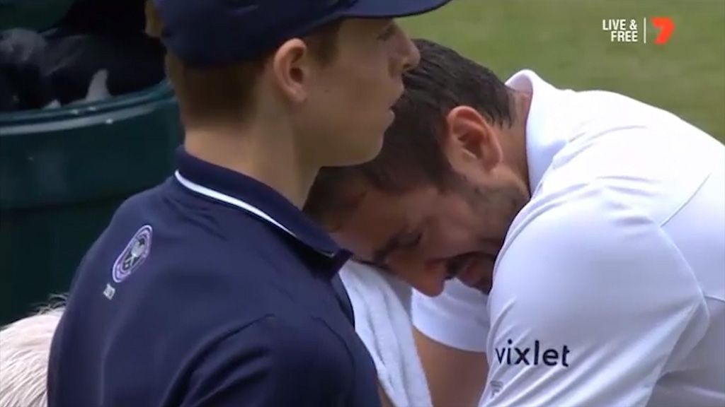 Wimbledon finalist Maran Cilic in tears during break in game 