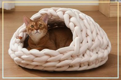 9PR: Michu Feline Haven Cat Nest, Daisy Cream