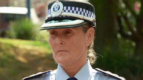 Inspector Debora O'Reilly said there was an altercation leading up to the alleged stabbing. 