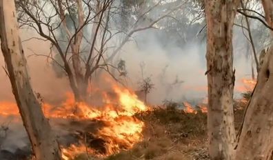 Bushfires in southern tablelands. 