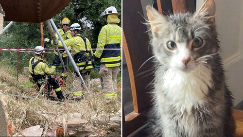 Woman and cat rescued from well Gawler West Adelaide