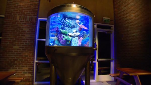 Reality show 'Tanked' boosts aquarium sales — PHOTOS, Real Estate Millions