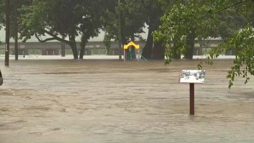 The Daintree River has recorded its highest flood level since 1901.