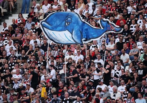   Torcedores do Eintracht Frankfurt exibem um banner dedicado à baleia jubarte Timmy durante a partida da Bundesliga entre Eintracht Frankfurt e Hamburger SV no Deutsche Bank Park em Frankfurt.