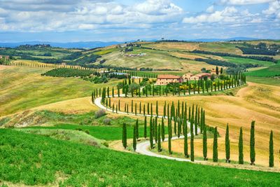 Tuscan wine tour