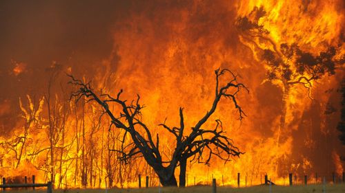 Black Saturday bushfires victims' $500m settlement to be decided