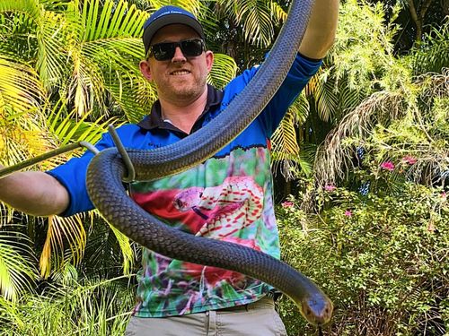 Stuart McKenzie from Sunshine Coast Snake Catchers 24/7 has told 9News he's been called out to several homes with eastern brown snakes in the past couple of days alone.