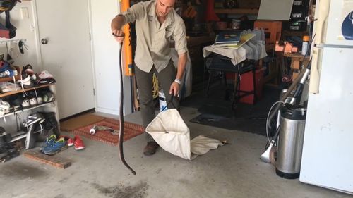 Jack Hogan of Sunshine Coast Snake Catchers is warning people to look out for snakes on all surfaces after a snake was caught on a garage benchtop.