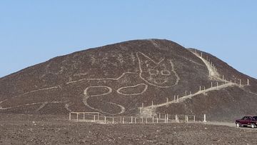 Peruvian archaeologists carrying out maintenance work in the renowned Nazca Lines geoglyphs site have discovered the figure of a feline which was barely discernible and almost completely erased, the Ministry of Culture reported on Friday, October 16.  