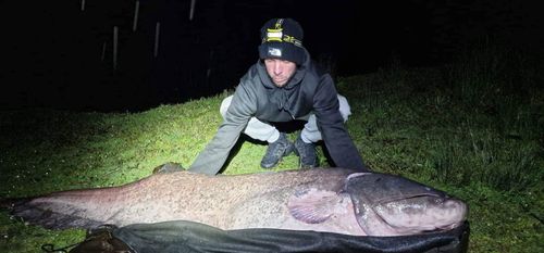 Darren Reitz and huge catfish