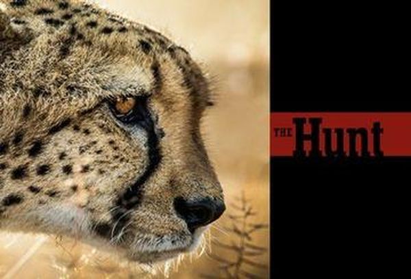 The Hunt