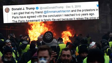 US president Donald Trump has mocked French leader Emmanuel Macron on Twitter, blaming the riots in Paris on France's commitment to a global climate agreement.