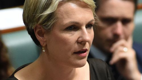 Plibersek to join gay marriage rally to call for free vote