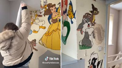 Disney cartoon walls