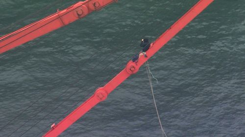 A protester hangs from a crane in Port Botany.