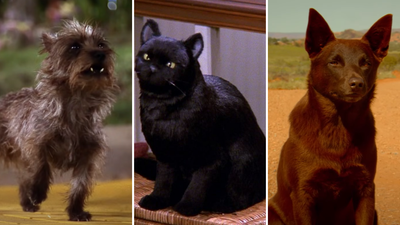 The most common movie-inspired pet names revealed