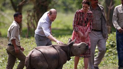 <p>The Duke and Duchess of Cambridge, William and Kate, have visited celebrities and slums, played cricket, gone on safari and more on their royal tour of India and Bhutan.</p><p>Here, William pats an orphaned baby rhinoceros at the Kaziranga wildlife centre, in the north-eastern state of Assam, on day four of the royal tour.</p><p><strong>Click through the gallery to see more of the royal couple's adventure.&nbsp;</strong></p><p>(All images / AFP)</p>