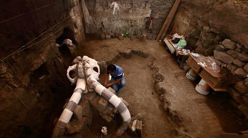 Remains of mammoth uncovered in Mexico