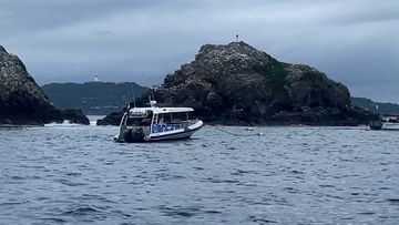 A search is underway for a missing swimmer off Byron Bay, NSW.