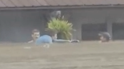 An unidentified hero swam over to the home and completed a daring rescue as the waters rose.