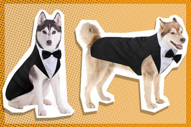 9PR: Dog Tuxedo Suit and Bandana Set